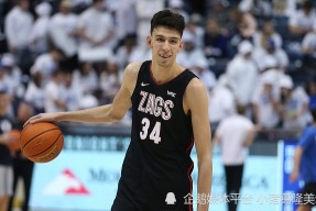 关于休斯敦火箭内部会议纪要流出——国际比赛日内部沟通，NBA季后赛使命明确，身体对抗强度拉满的信息